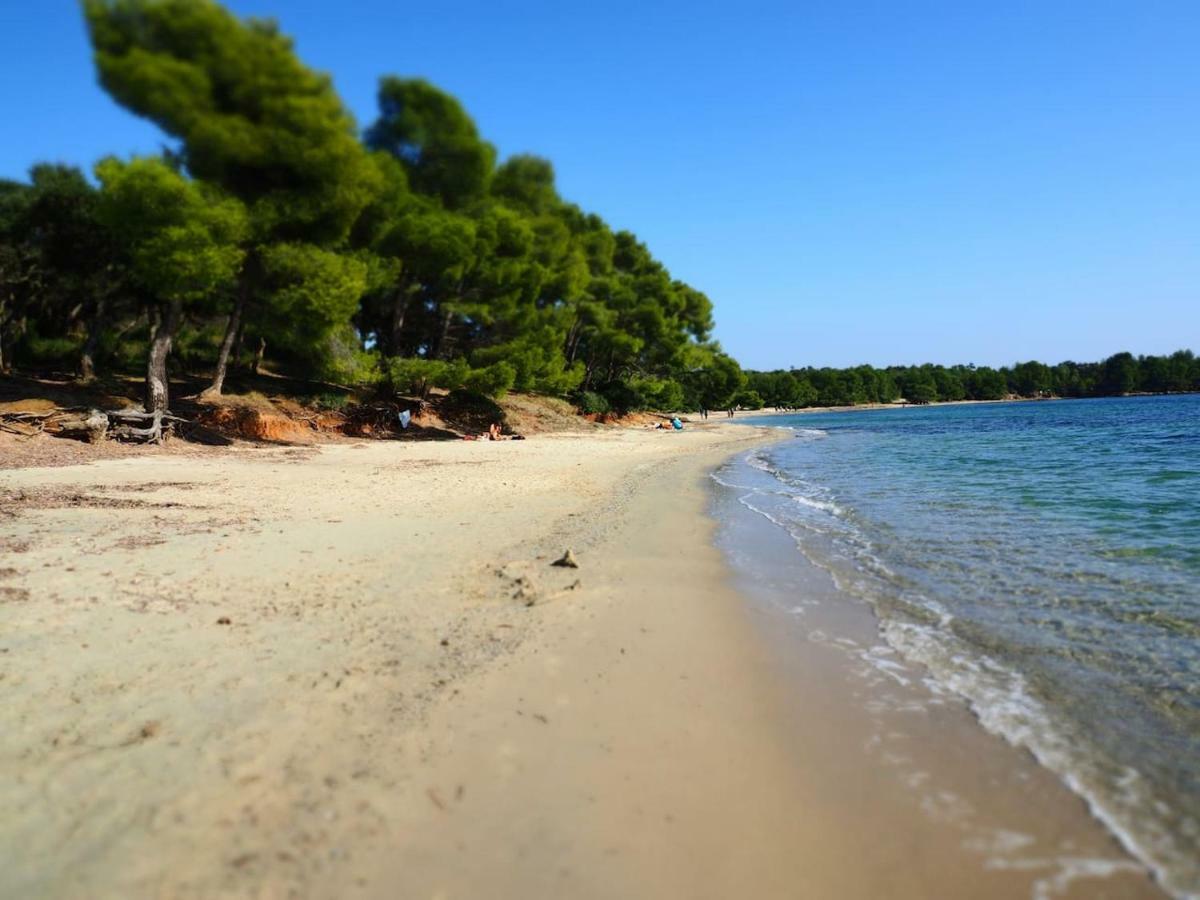 La Londe La Mer : Appartement Proche Plages & Vue Superbe Sur Les Iles D'Or المظهر الخارجي الصورة